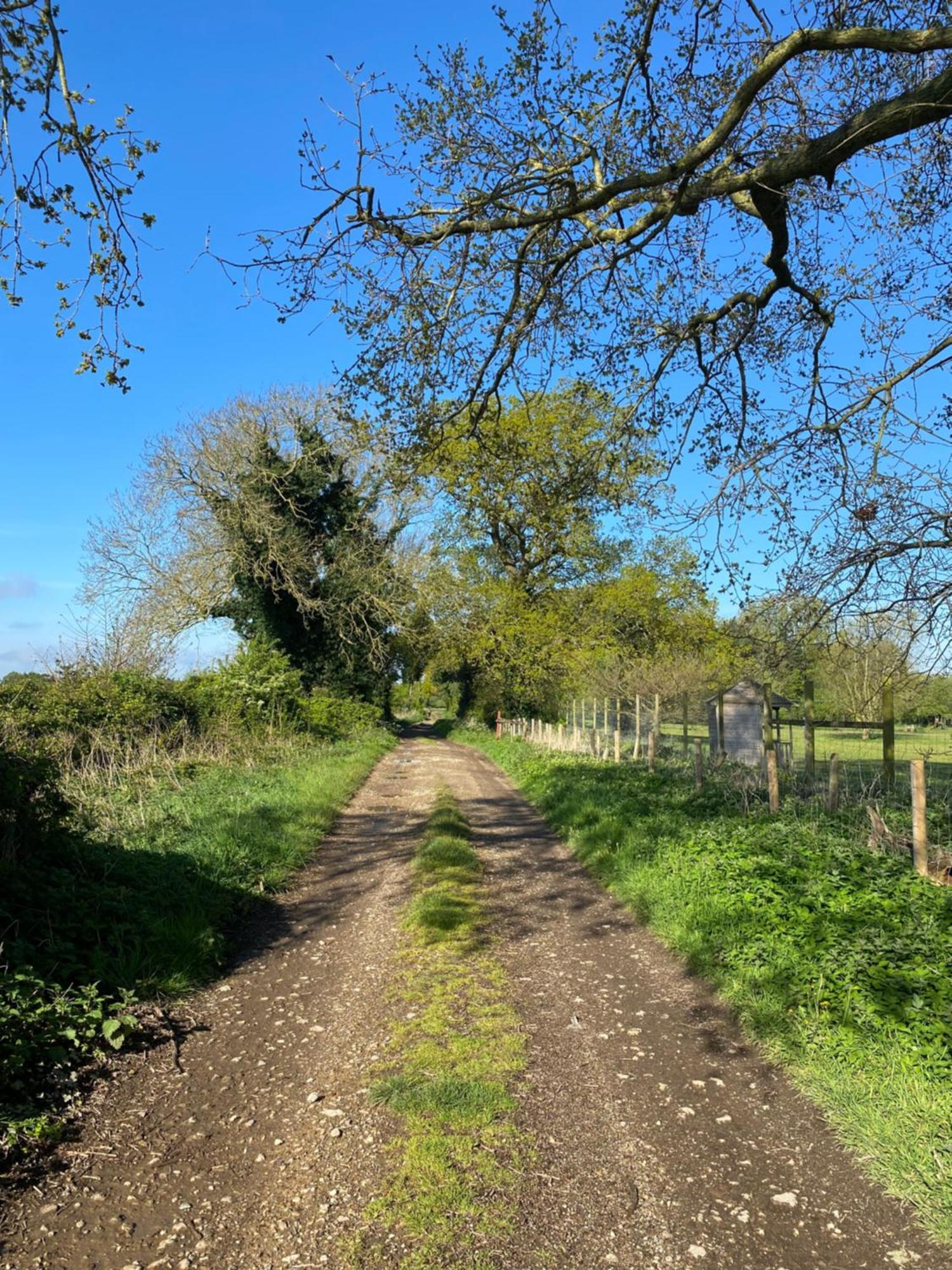 Blossom Lodge - Detached Bungalow Near Kings Lynn Narborough  Buitenkant foto